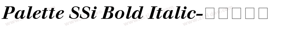 Palette SSi Bold Italic字体转换